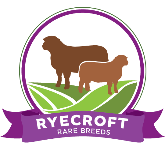 Ryecroft Rare Breeds to the farm